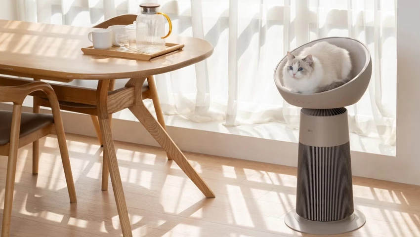 Air-purifying cat bed